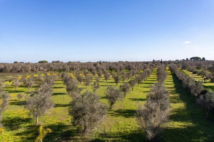 Image No.21-Villa de 3 chambres à vendre à Oria