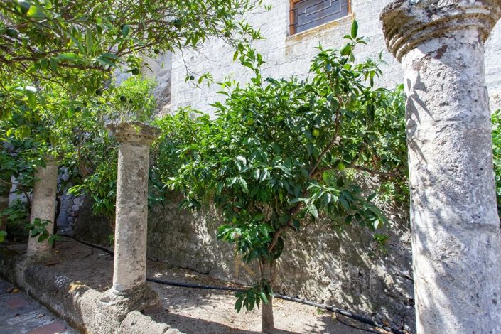 Image No.22-Maison de 4 chambres à vendre à Oria