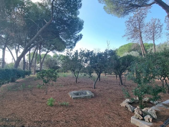 Image No.25-2 Bed Villa for sale