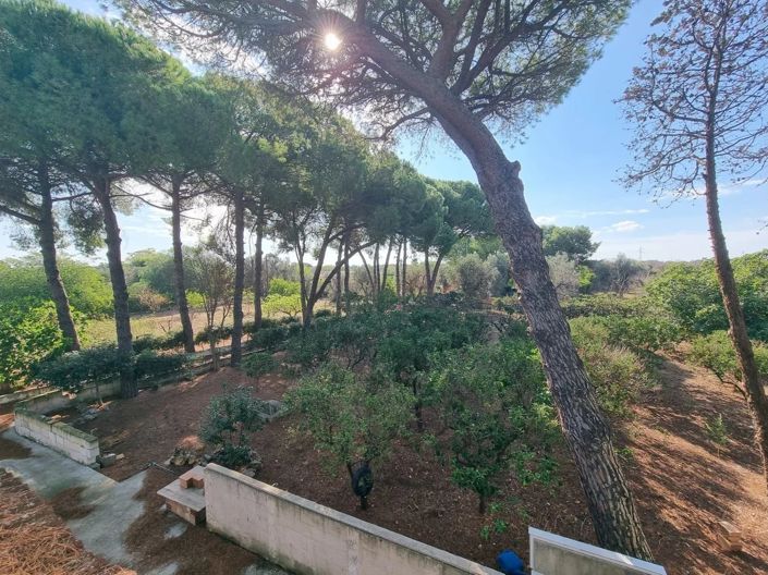 Image No.27-2 Bed Villa for sale