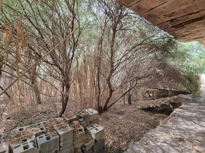 Image No.11-Chalet à vendre à Maruggio