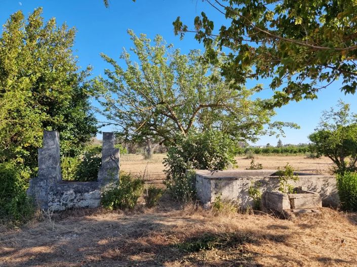 Image No.10-Maison de 4 chambres à vendre à Oria