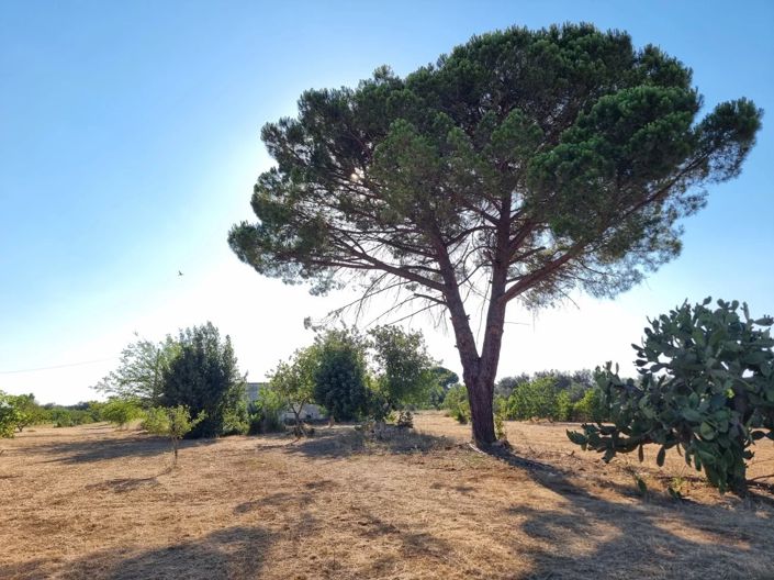 Image No.11-Maison de 4 chambres à vendre à Oria