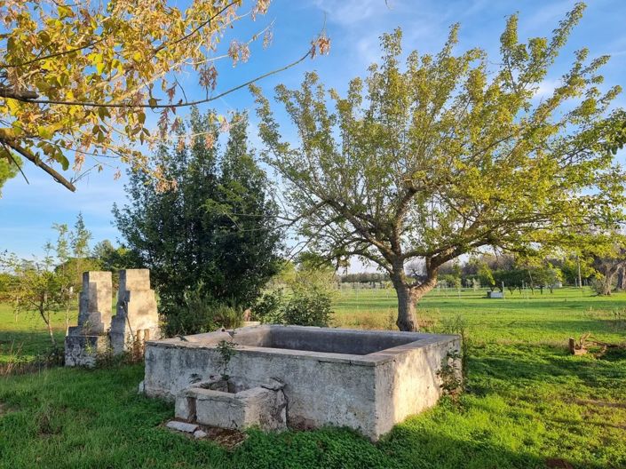Image No.14-Maison de 4 chambres à vendre à Oria