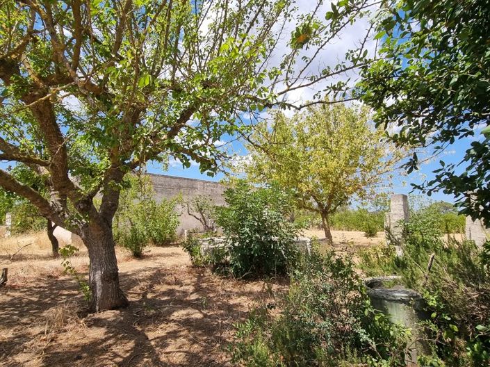 Image No.15-Maison de 4 chambres à vendre à Oria