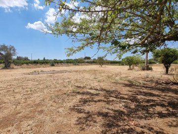 a7a46a261117f7ba7fab71326761675eb1a4d4b218130