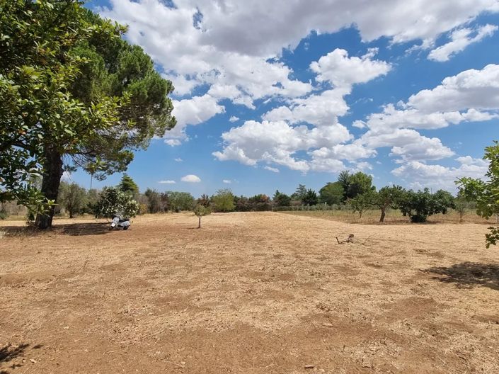 Image No.6-Maison de 4 chambres à vendre à Oria