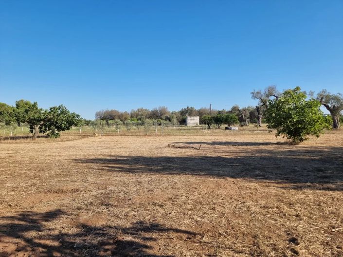 Image No.8-Maison de 4 chambres à vendre à Oria