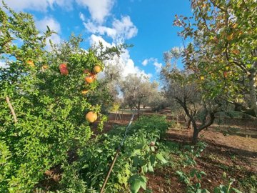 3cdbcb7e8f1acc18a1c5941d87b2ee2687ccf402f9130