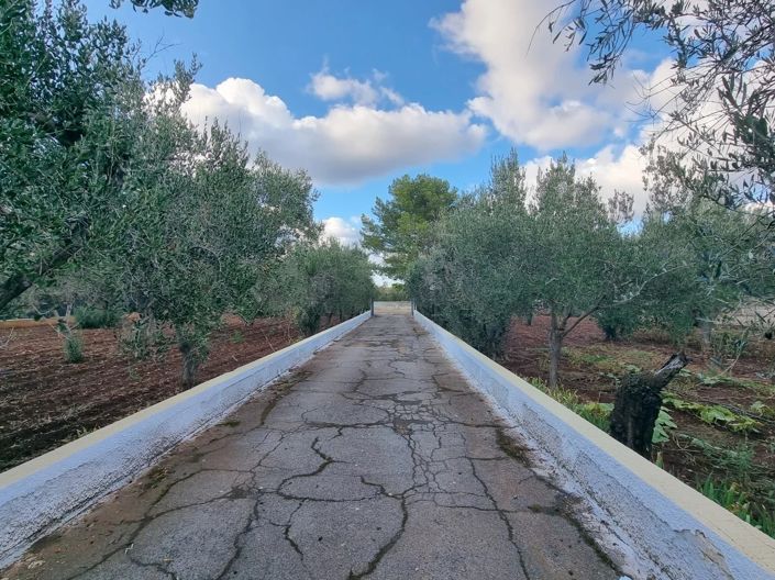 Image No.16-2 Bed House for sale