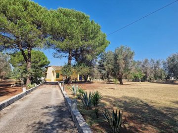 e910034c7f0adf69c26761fc4a3d15501e933c981e160