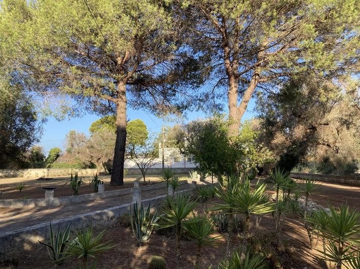 Image No.25-4 Bed Villa for sale