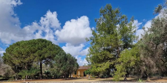 Image No.26-4 Bed Villa for sale