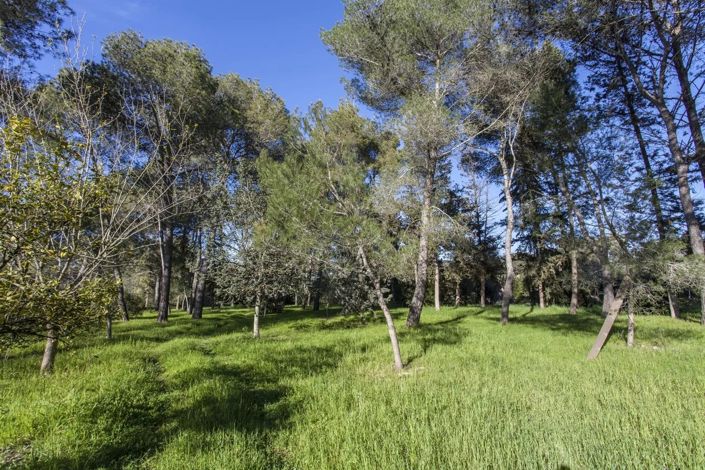 Image No.24-3 Bed Villa for sale