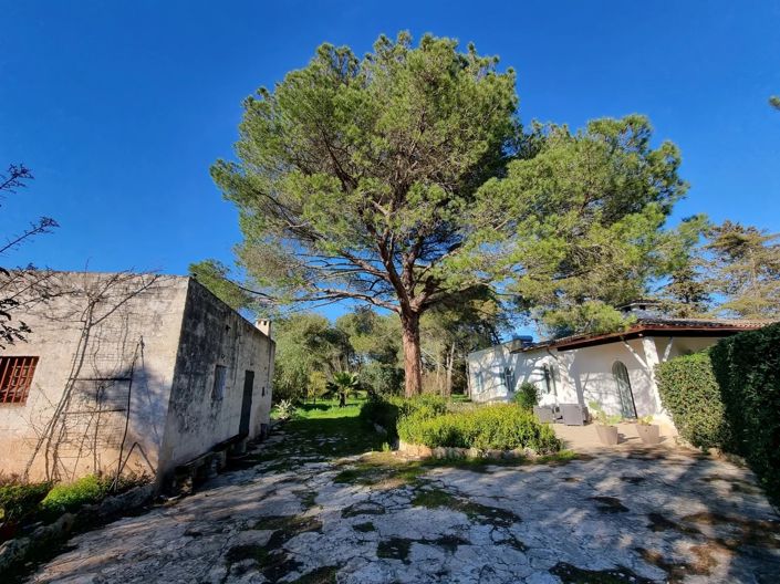 Image No.24-3 Bed Villa for sale