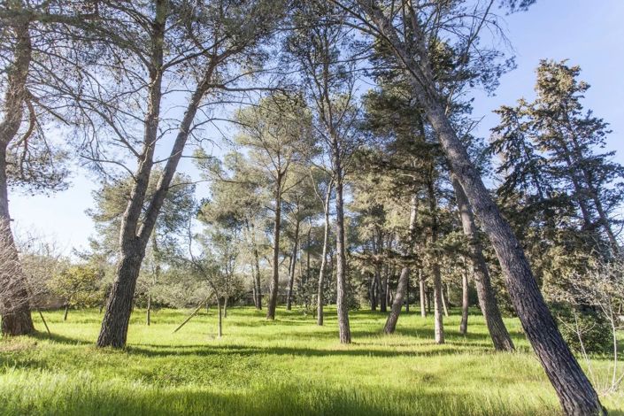 Image No.25-3 Bed Villa for sale