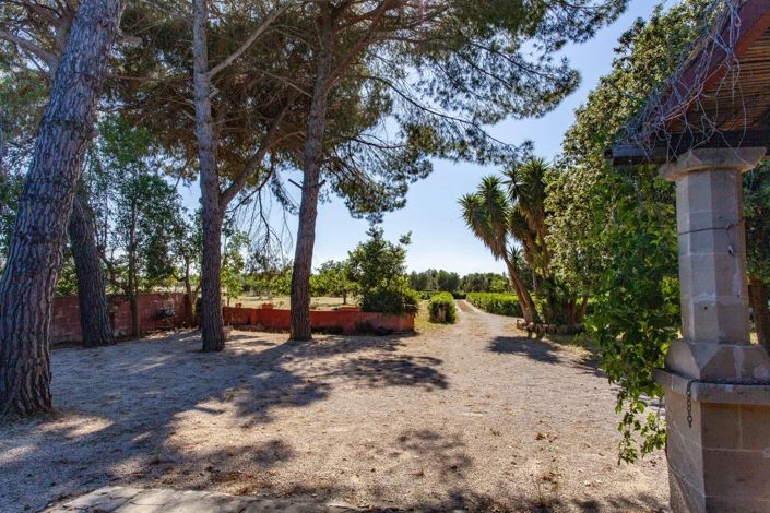 Image No.24-Villa de 2 chambres à vendre à Francavilla Fontana