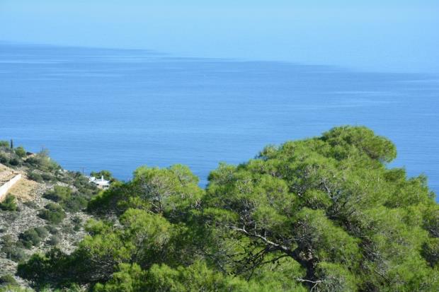 Image No.14-Maison de 5 chambres à vendre à Amoni