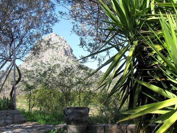 Image No.15-Villa / Détaché de 1 chambre à vendre à Asini