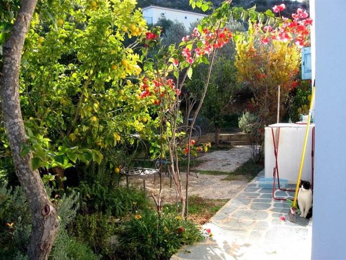 Image No.17-Villa / Détaché de 1 chambre à vendre à Asini