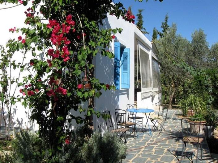 Image No.19-Villa / Détaché de 1 chambre à vendre à Asini