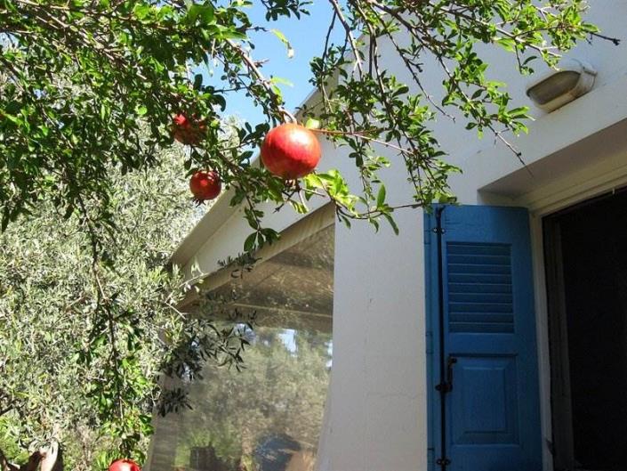 Image No.25-Villa / Détaché de 1 chambre à vendre à Asini