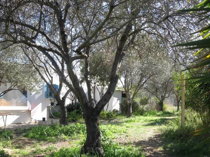 Image No.28-Villa / Détaché de 1 chambre à vendre à Asini