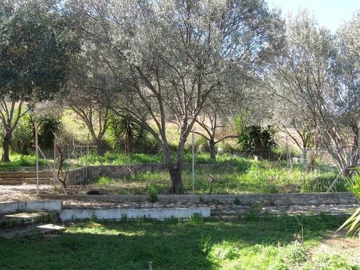 Image No.30-Villa / Détaché de 1 chambre à vendre à Asini