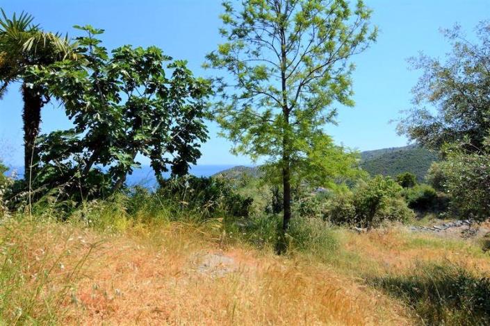 Image No.16-Maison de 4 chambres à vendre à Pera Melana