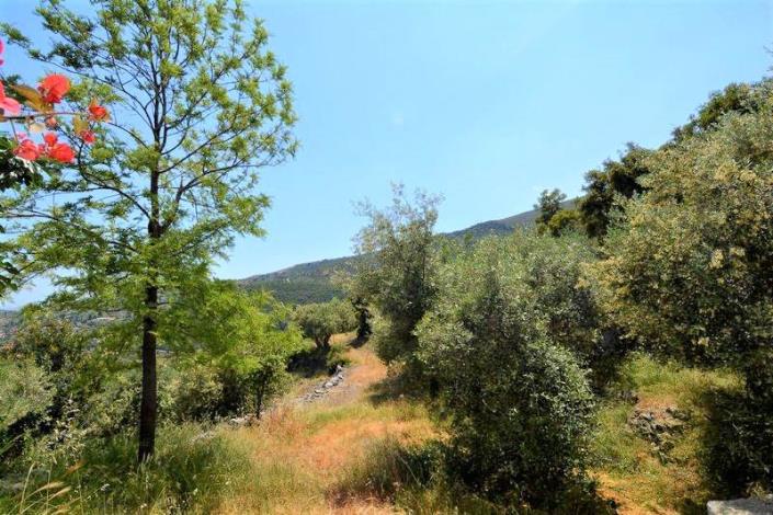 Image No.25-Maison de 4 chambres à vendre à Pera Melana