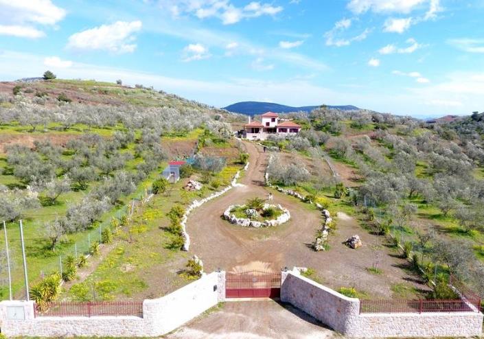 Image No.5-Maison de 4 chambres à vendre à Epidavros