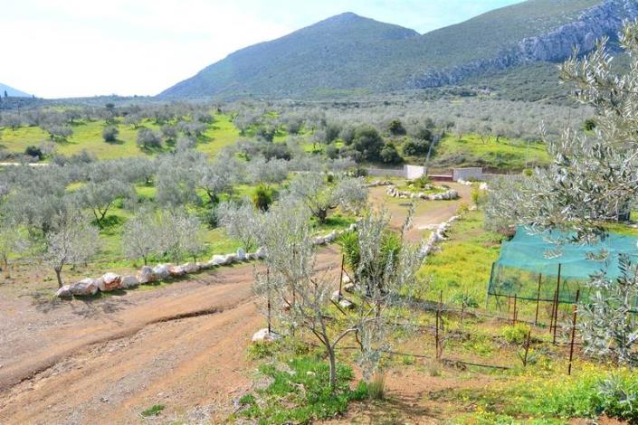 Image No.24-Maison de 4 chambres à vendre à Epidavros