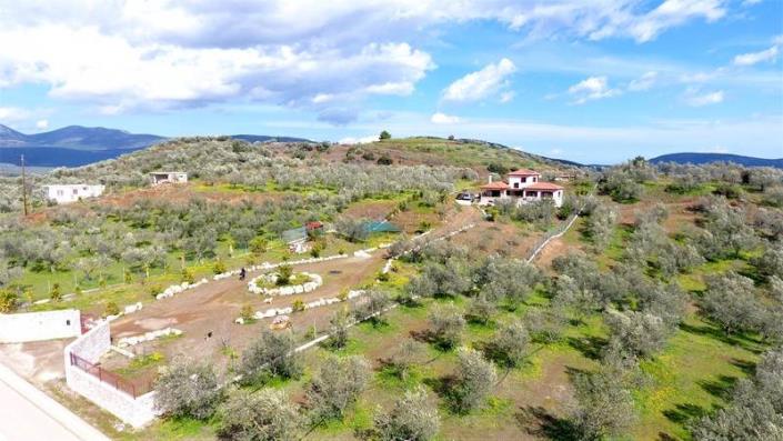 Image No.27-Maison de 4 chambres à vendre à Epidavros