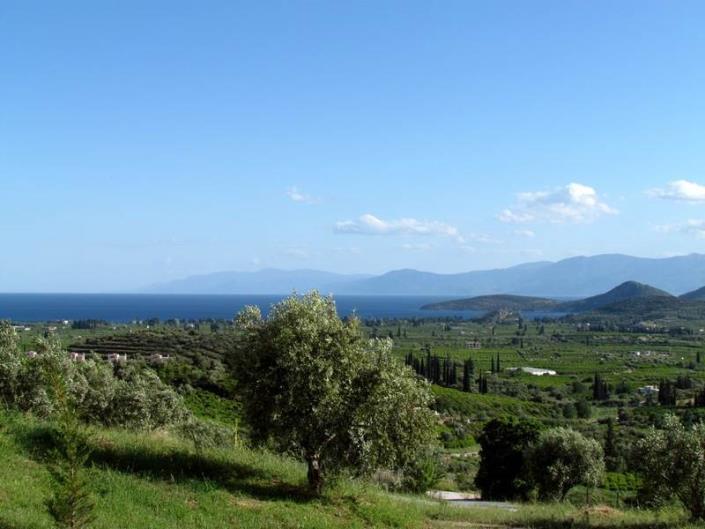 Image No.4-Maison de 2 chambres à vendre à Lefkakia