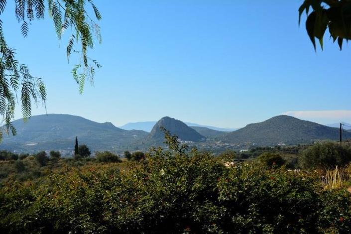Image No.16-Maison de 2 chambres à vendre à Lefkakia