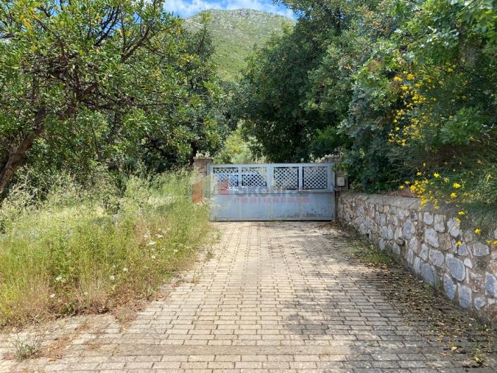 Image No.9-Maison / Villa de 4 chambres à vendre à Tyros