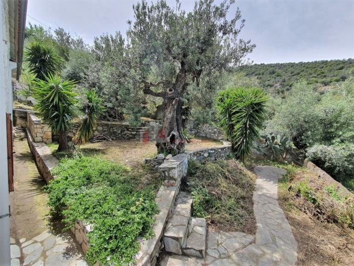 Image No.5-2 Bed House for sale