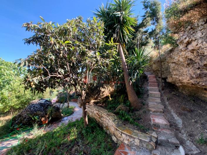 Image No.25-Maison / Villa de 3 chambres à vendre à Petalidi