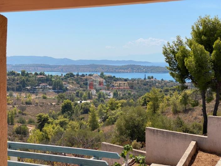 Image No.19-1 Bed House/Villa for sale