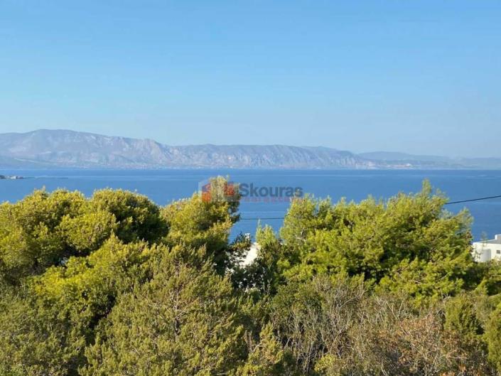 Image No.7-Maison de 3 chambres à vendre à Amoni