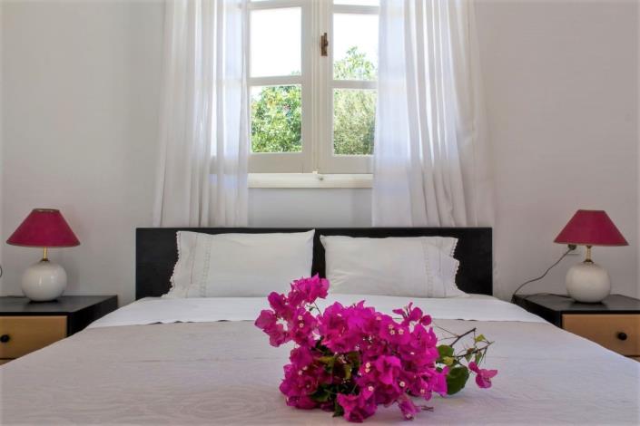 Image No.14-Maison de 3 chambres à vendre à Amoni