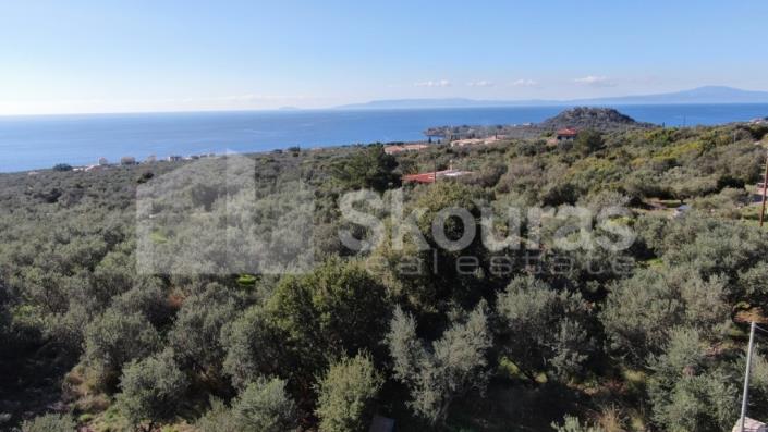 Image No.5-3 Bed House for sale