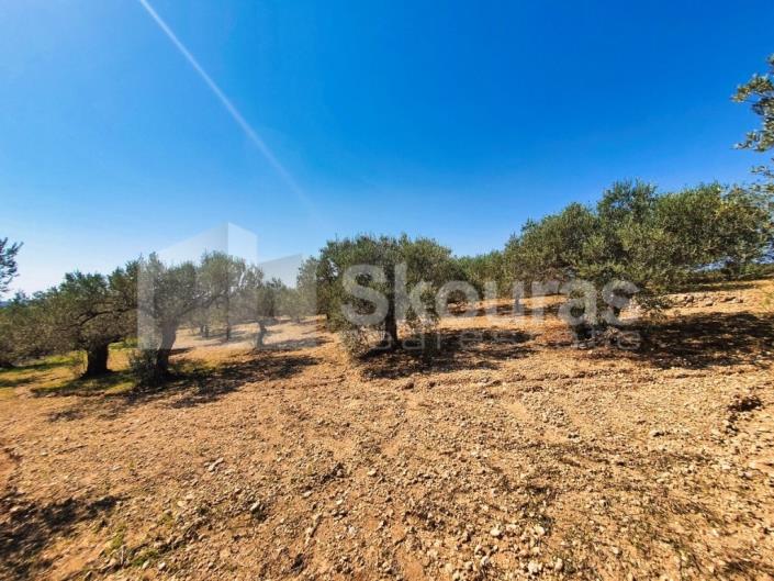 Image No.17-3 Bed House/Villa for sale