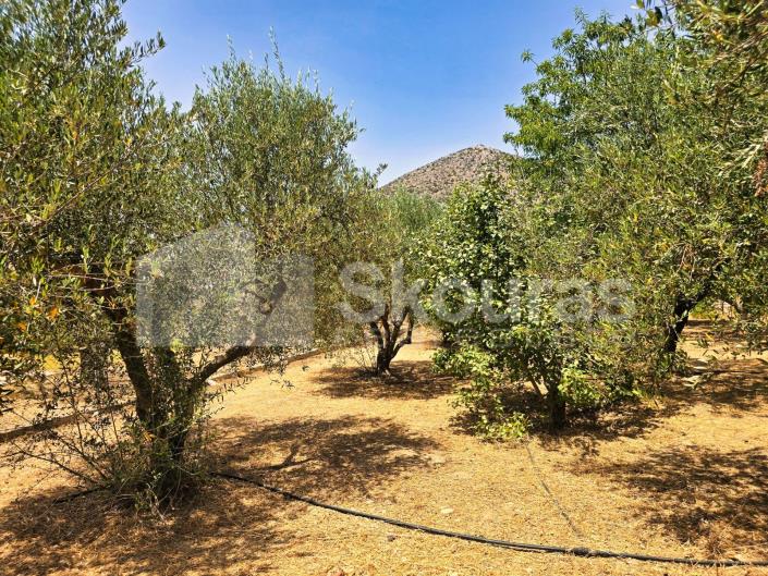 Image No.26-2 Bed House/Villa for sale