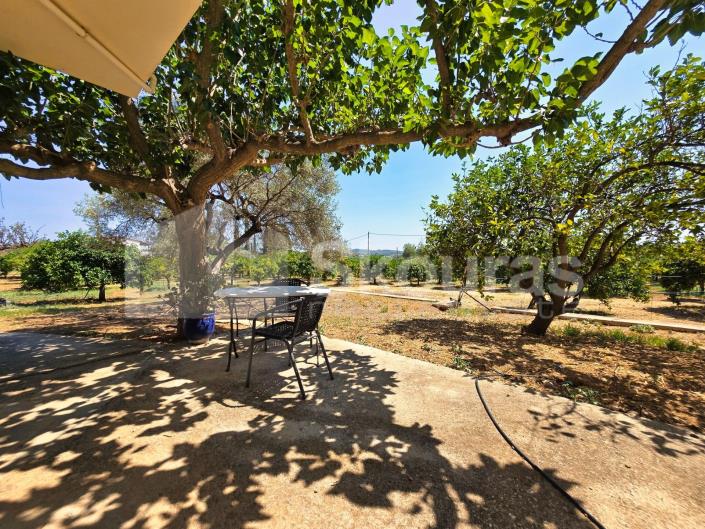 Image No.27-Maison / Villa de 4 chambres à vendre à Kranidi