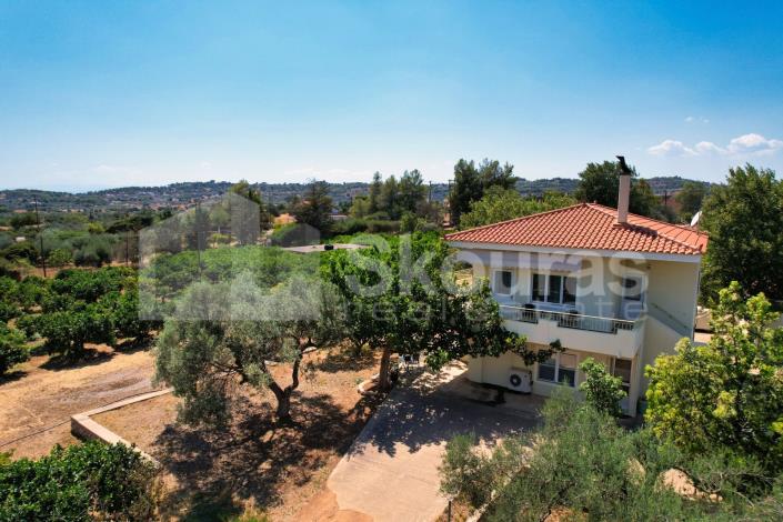 Image No.3-Maison / Villa de 4 chambres à vendre à Kranidi