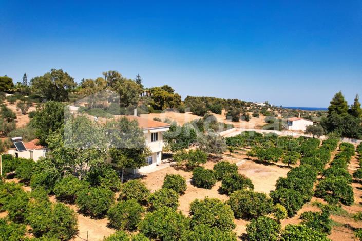 Image No.30-Maison / Villa de 4 chambres à vendre à Kranidi