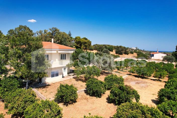 Image No.28-Maison / Villa de 4 chambres à vendre à Kranidi