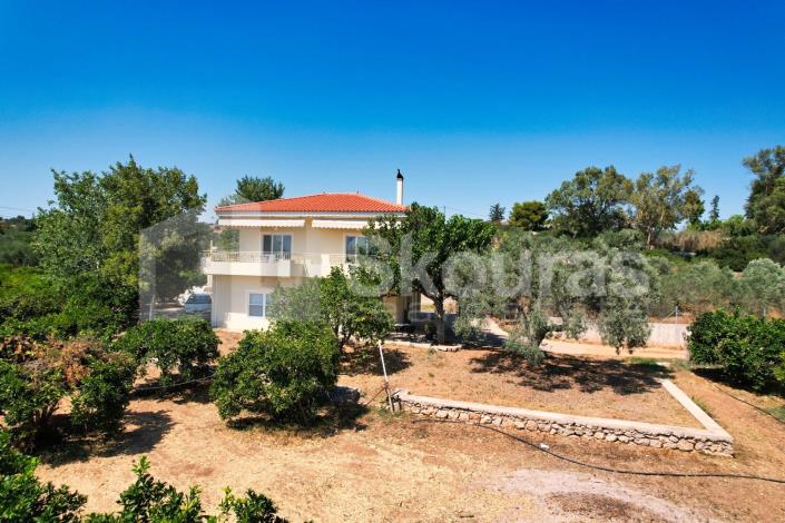 Image No.26-Maison / Villa de 4 chambres à vendre à Kranidi