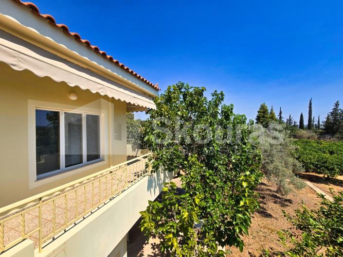 Image No.24-Maison / Villa de 4 chambres à vendre à Kranidi